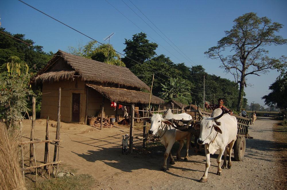 มาชาย คันทรี วิลล่า Kumarwarti ภายนอก รูปภาพ