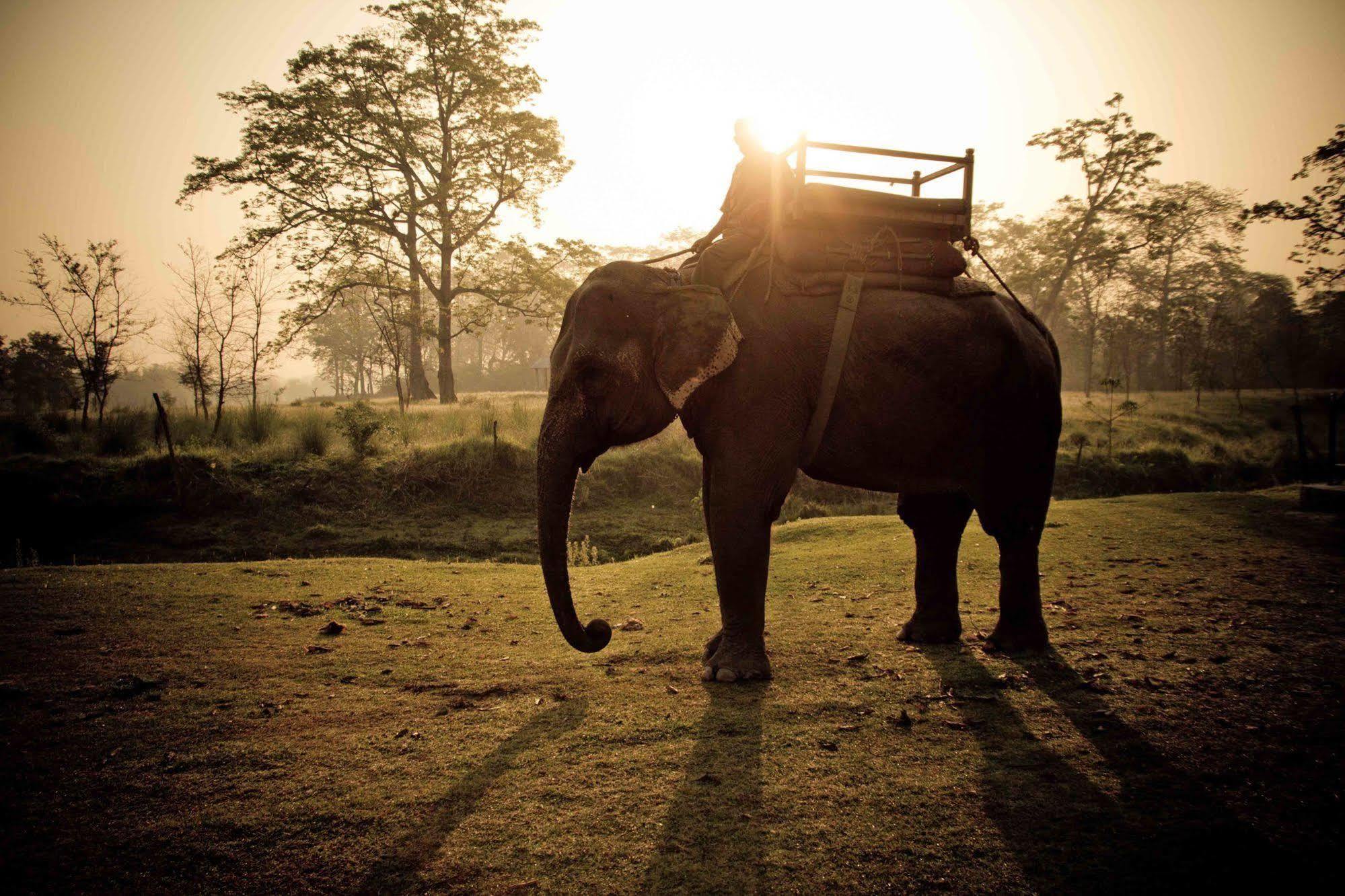มาชาย คันทรี วิลล่า Kumarwarti ภายนอก รูปภาพ